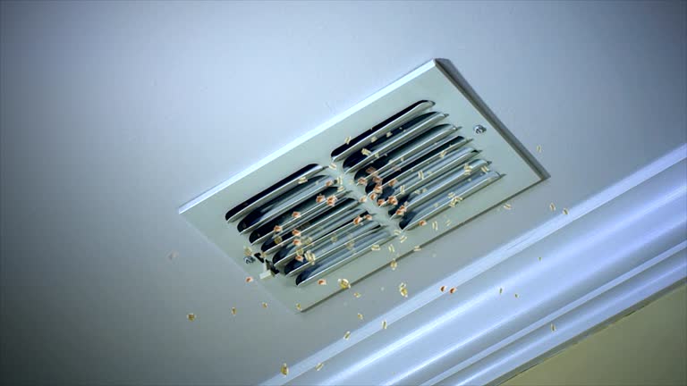 Best HVAC Air Duct Cleaning  in Chenoa, IL