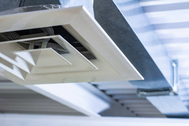 Best Dryer Vent Cleaning Services  in Chenoa, IL