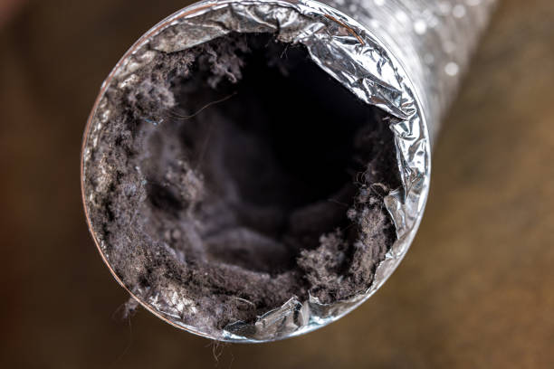 Best Residential Air Duct Cleaning  in Chenoa, IL