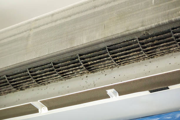 Best Professional Duct Cleaning Services  in Chenoa, IL