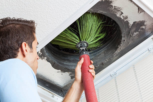 Best Ductwork Cleaning Services  in Chenoa, IL